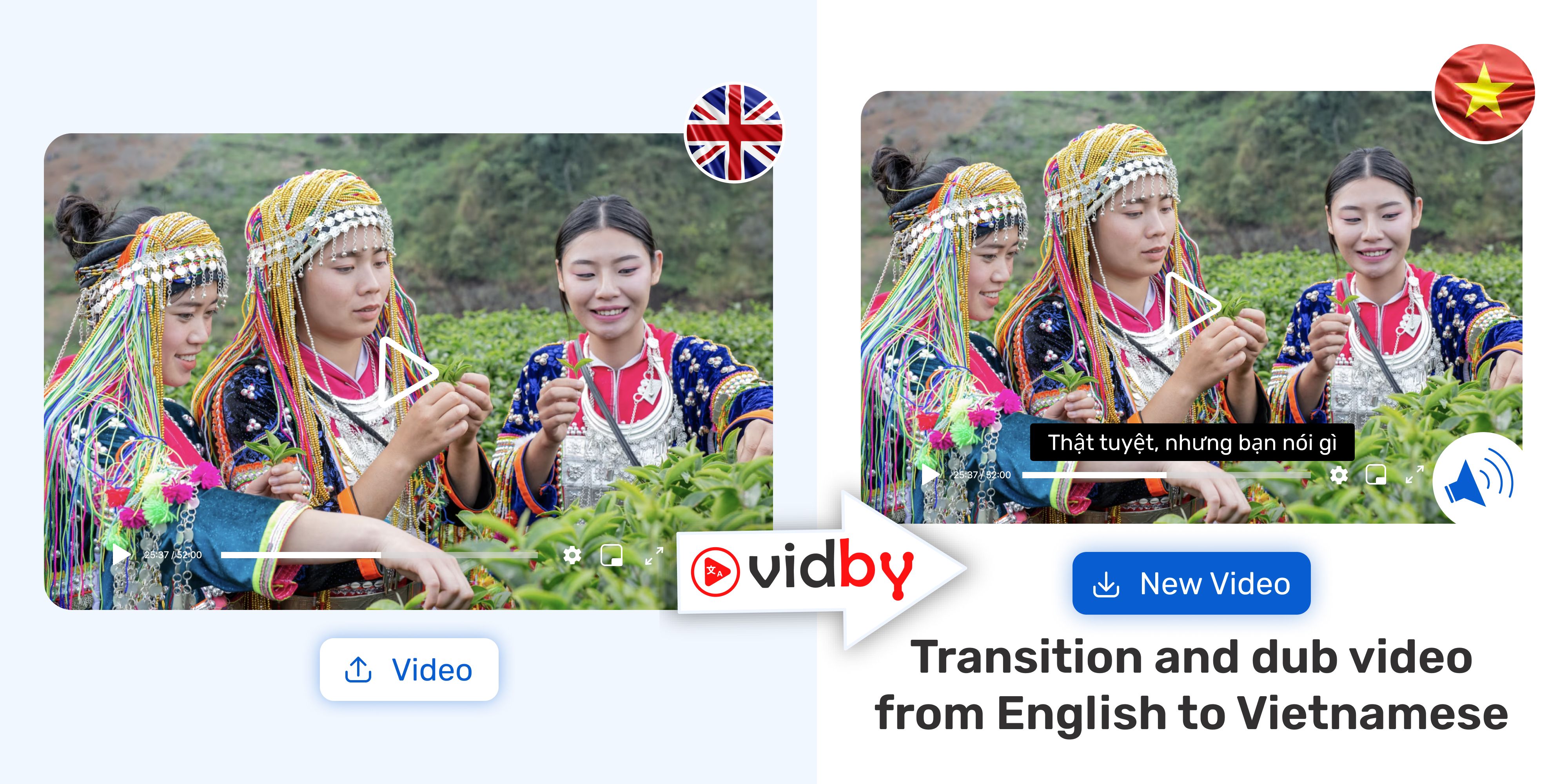Translate English video to Vietnamese